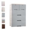 Fkstyle Stylish Living Room Chest, 4-5 Drawers, Storage Box with Lock, Clothes, Clothing, Laundry, Dresser, Plastic