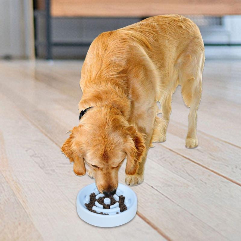 Durability Slow Feeders Bowl Regulable Dog Slow Feeders Comfortable Cats Bowl for Slow Eating