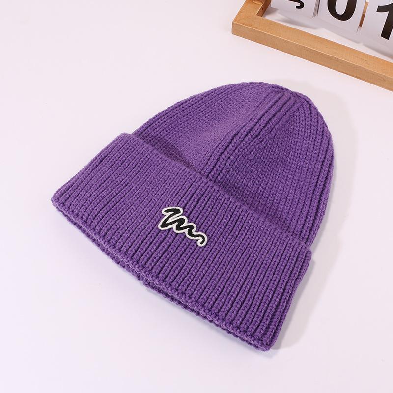 Autumn and Winter Wool Hats for Men and Women Korean Style Versatile Couples Cold Hats Simple Street Ear Protection Warm Knit Hat