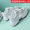 Single Net Breathable Sports Shoes Summer New Dad Shoes Women's Shoes Casual Shoes Daily Trend Shoes