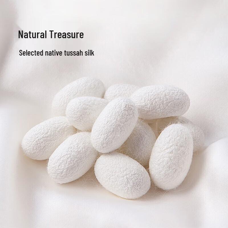 

FUANNA Pure Cotton Antibacterial Silk Quilt