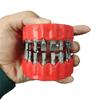 Screwdriver Bit Funny Plastic Home Decor Denture Drill Bit Holder With 28 Bits Bit Adapter Teeth Model Design