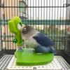 Cactus Bird Perch Stand Leaves Shape Bird Mirror Toy Funny Parrot Play Stands  Play