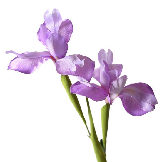 Artificial Iris Flower 2 Heads Faux Silk Flower Bouquet Long Stem Fake Iris Flowers for Floral Arrangements Table Centerpiece Party Wedding Decor