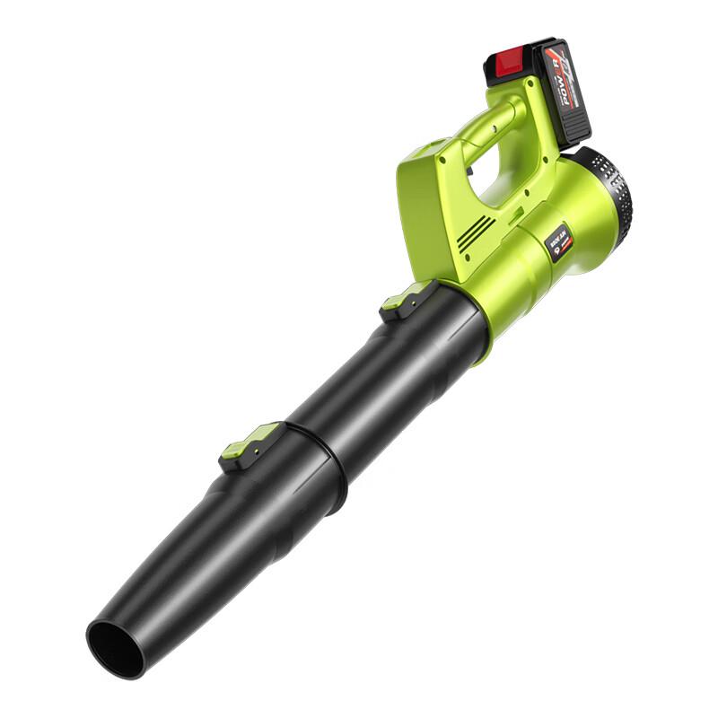 Deyun Cordless High-Power Industrial Blower CN plug (adapter included)