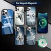 F-Fighter F35 F-22 Lightning   Phone Case For iPhone17,16,15,14,13,12,11 Plus,Pro Magnetic For Magsafe Wireless Charging