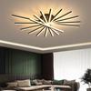Modern LED Chandeliers Ceiling Lamp Indoor Lighting For Study Living Room Bedroom Lamps Black/White Light Fixtures Input 90-220V