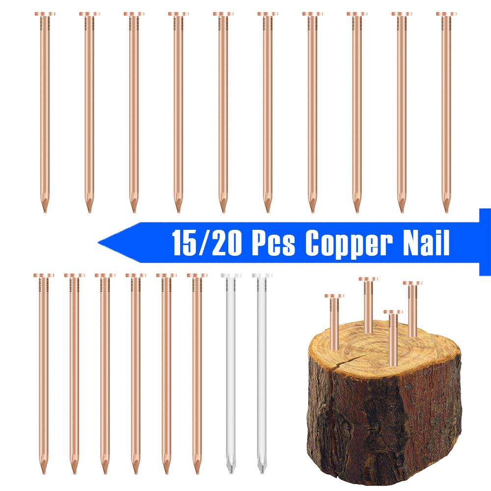 15/20 Pcs Copper Nail for Killing Trees Stumps and Roots Heavy Duty Rustproof Copper Nail Spike Tree Root Killer for Gardening
