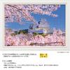 Yanoman in Jigsaw Cherry Blossoms of Himeji Castle Includes a piece request a a service and a jigsaw puzzle instruction (Yanoman) [Made Japan]