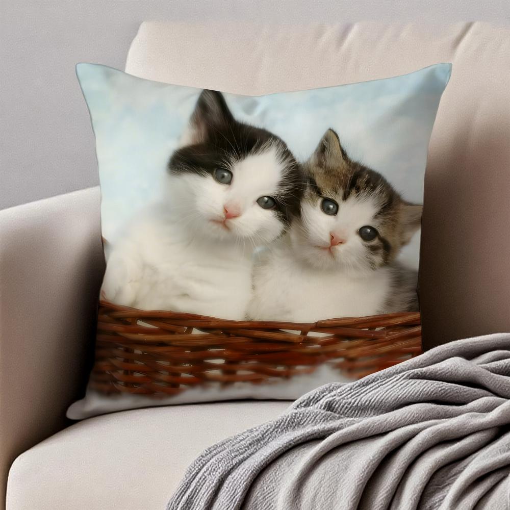 Cute Cats photograph Cushion Cover Pillowcase Antidustmite Invisible Zipper Short Plush Sofa Cushion