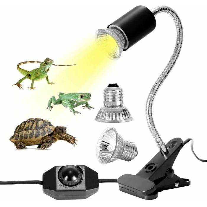 Kit Lampe Chauffante - LARGEIGHT - Tortue Terrestre - 2 Ampoules UVA UVB 25W/50W - Rotation 360° - Multicolore