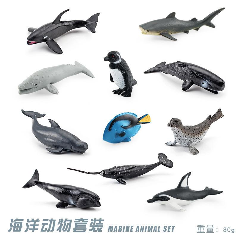 Realistic Ocean Animal Model Set Including Whales Dolphins Sharks Turtles Crabs And More For Educational Play And Decoration