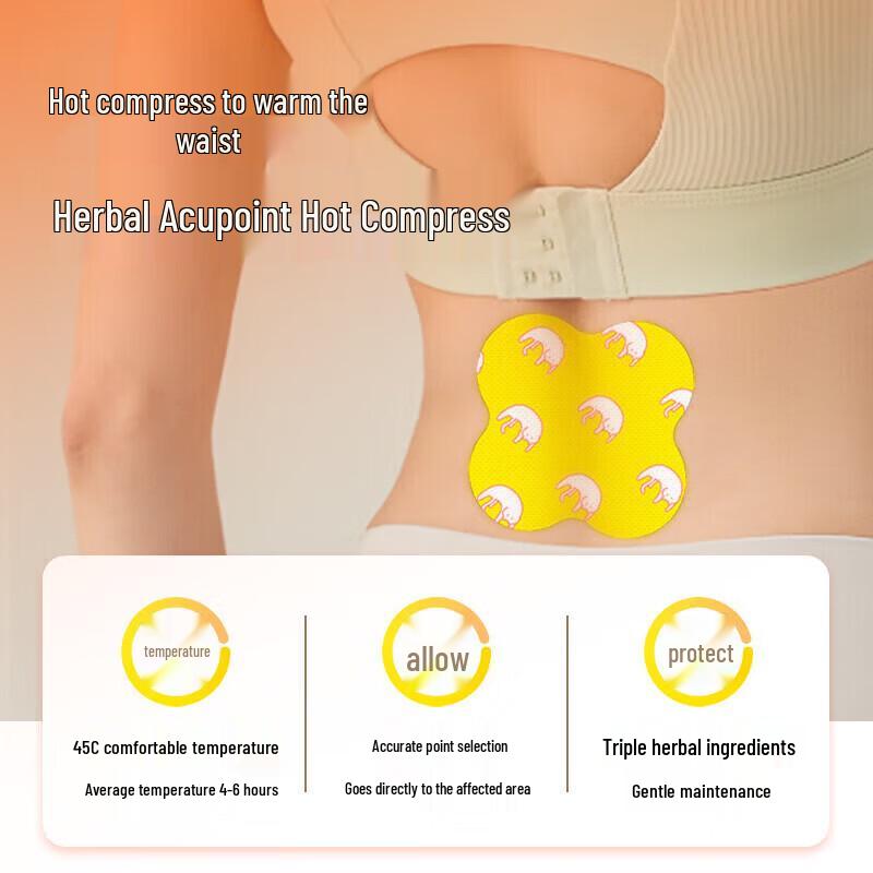 Cai's Funing Self-Heating Mugwort & Ginger Waist Patch