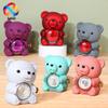 Hugging Bear Preserved Rose Gift Box with Necklace & Ring