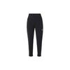 ACG Dri-FIT New Sands Embroidered Slim High-Waist Leggings Women Bottoms Black DV9528-010