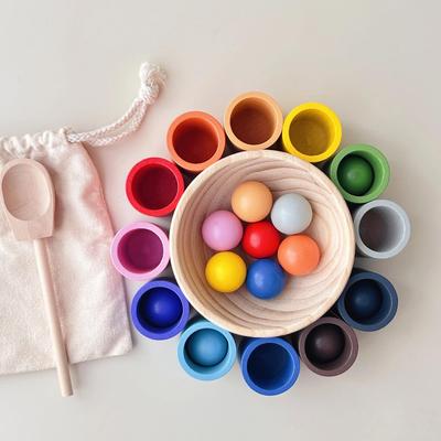Montessori Color Sorting Cups: Early Education Toys for 1-2 Year Olds