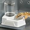 Automatic Reptile Water Dish Reusable Container Creative Feeder Station Ornament Drinking Tool for Snakes Tortoise Geckos