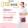 Nursery Waist Organizer Nurse Nursing Medical 1075198A 3, Accessories, Supplies, Supplies, Shoulder/Waist Pouch, 2-Way, Brown,