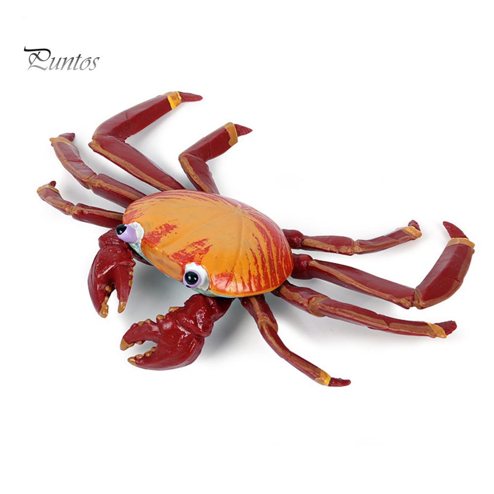 Puntos Kids Toy Simulation Hermit Crab Marine Animal PVC Model Desktop Decor Education