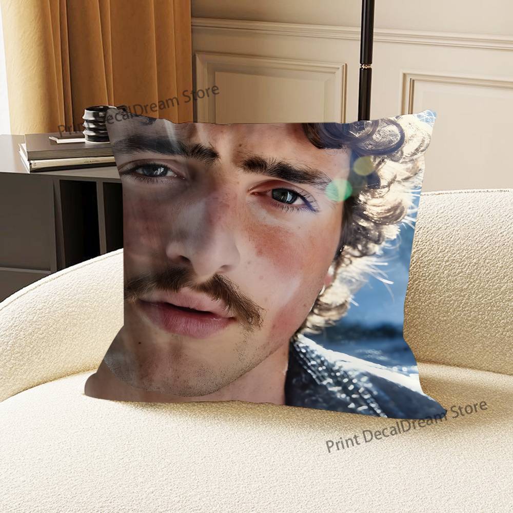 Singer B-Benson B-BooneS Pillow Case Ultra Soft Skin Friendly Fabric Cloud Like Comfort & Concealed Zipper