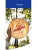 Aisenwer Ultimate 175g Professional Frisbee for Adult Team Competitions and Outdoor Activities