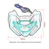 Fit For DUCATI Multistrada V4 Rear Tail Light V4S 1100 950 2021 2022 2023 2024 Motorcycle Turn Signals Brake Lamp Bright Light