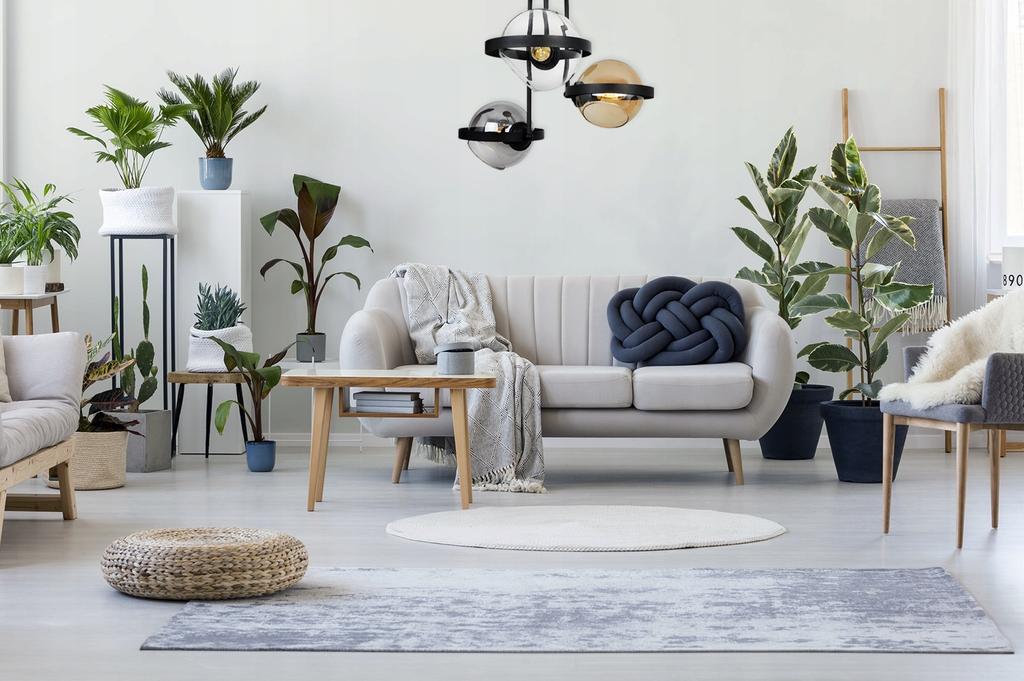 MODERN GLASS RING HANGING LAMP MIX