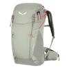 Salewa ALP TRAINER 20 L Women's Trekking Backpack Gray 00-0000001262_3898
