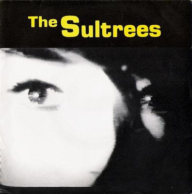 7inch Record SULTREES - Take Me As I Am CR1000 Cryptovision 1988 US Rock Used