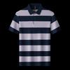 Pierre Cardin Men's Striped Polo T-Shirt