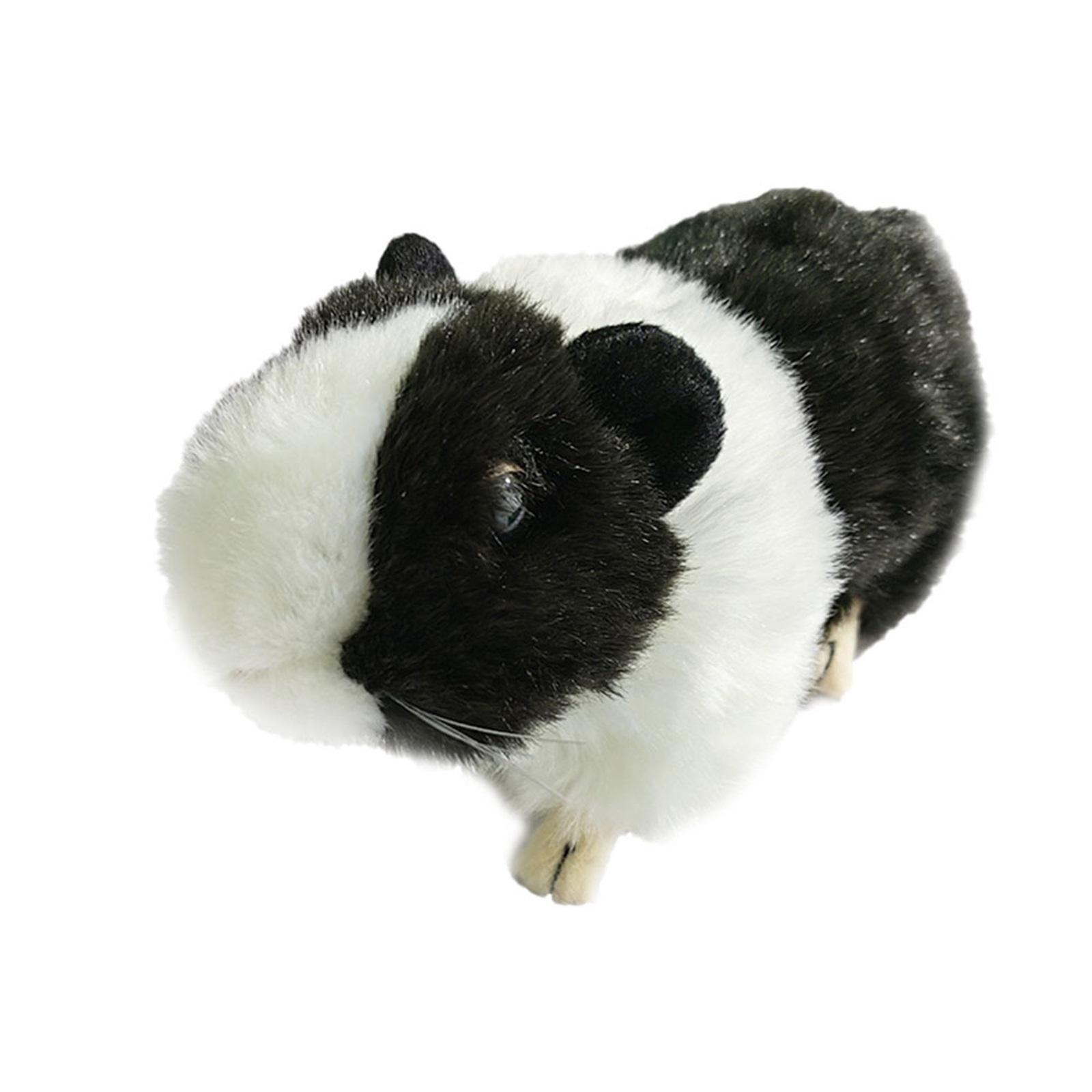 

Plush Toys, Cute And Soft Plush Dolls, Are Ideal For Home Decoration And Play, And Also Make Great Birthday Gifts For Children And Adults. One Size