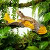 Natural Lookings Rainforest Climbing Vine Habitats Decors For Lizards Geckos And Spiders Terrariums Landscape Branch