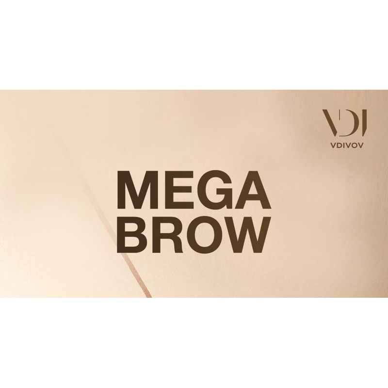 VDIVOV - Mega Brow Pact - 2 Colors
