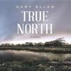 True North by Gary Eller Hardback Book 9781643972398