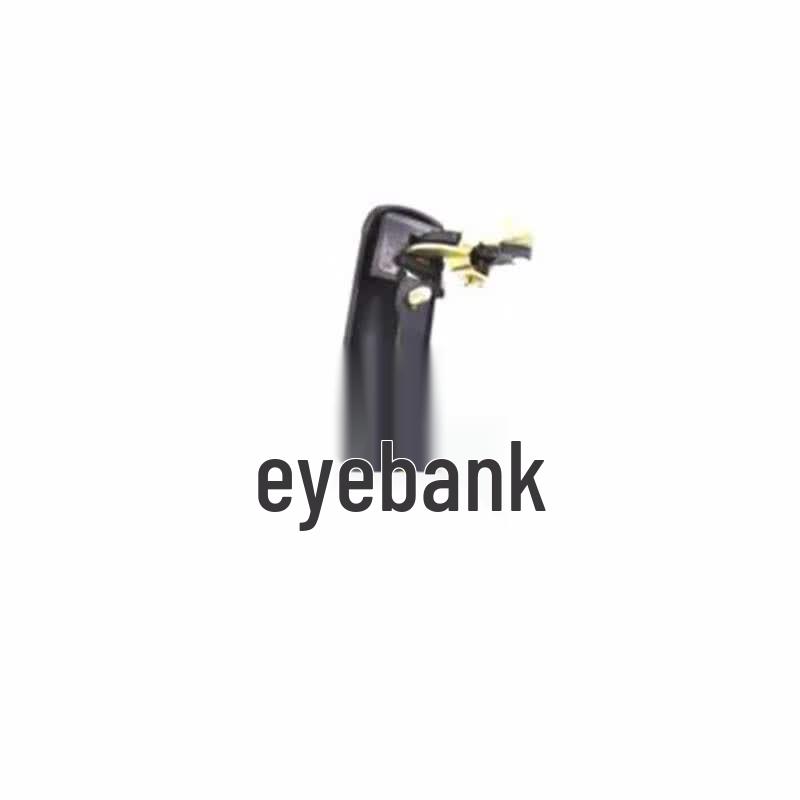 Dongfeng EQ2102/EQ2102N Exterior Car Door Handle