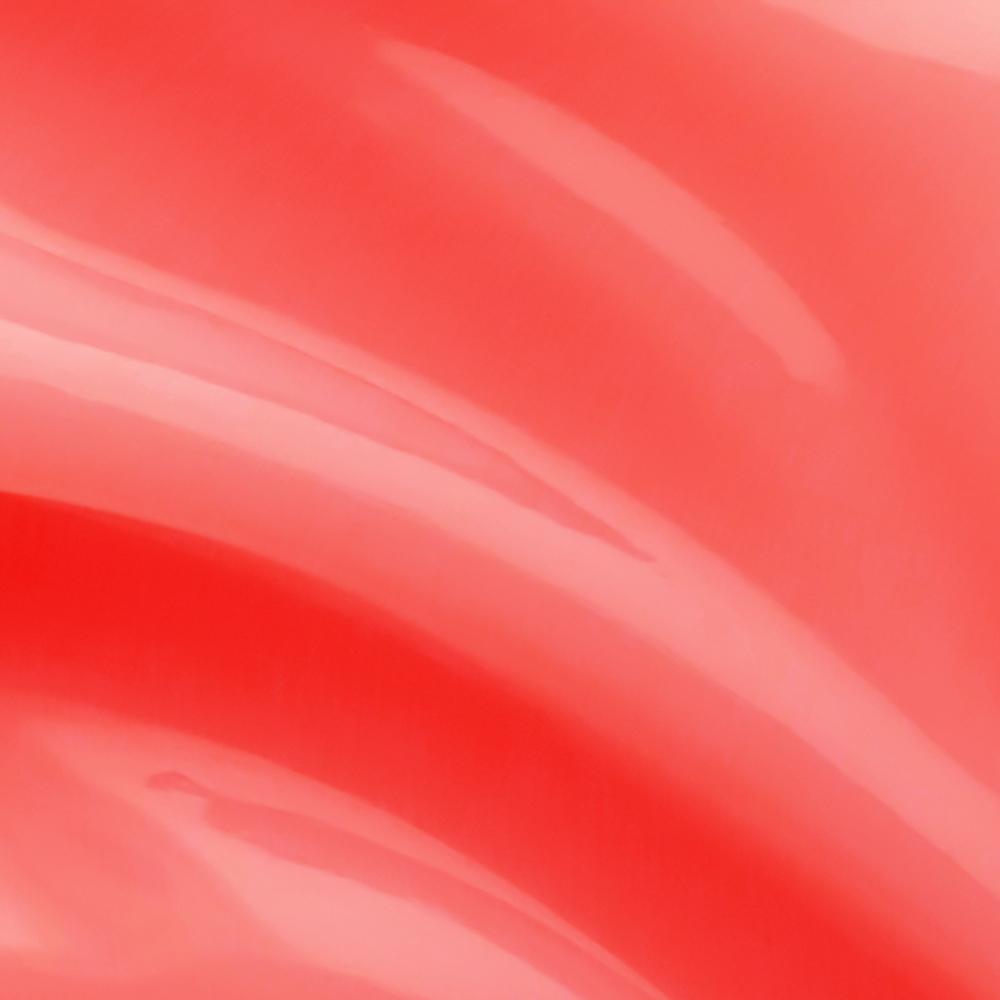 YNM Honey Color Lip Balm 5 Types