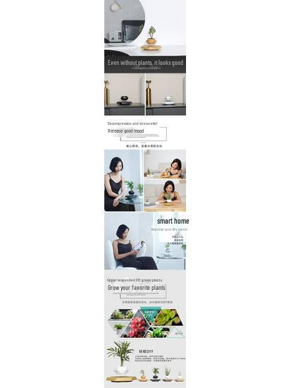 Magnetic Levitation Bonsai: Air-Purifying Ornamental Plant for Home or Office