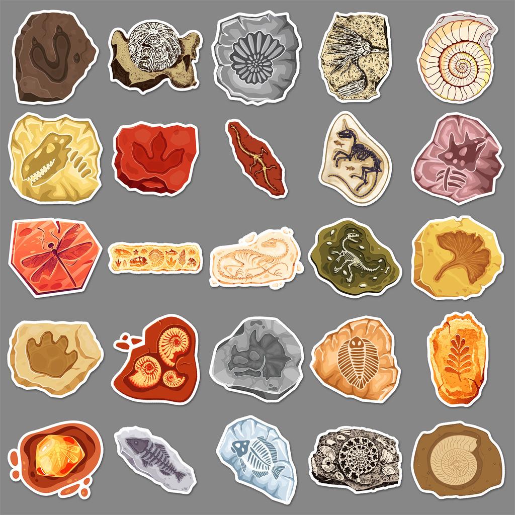50 Fossil Graffiti Stickers Personalized Creative Ammonite Amber Jurassic Decorative Suitcase Skateboard Stickers