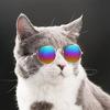 Huisdier Zonnebril Mini Helder AC Mode Kat Zonnebril voor het Maken van Foto's