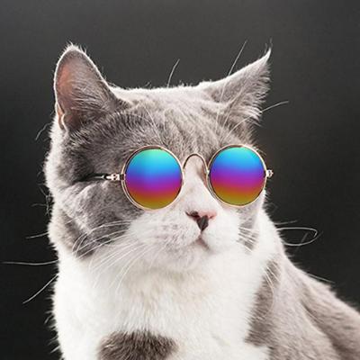 Gatos – Ropa