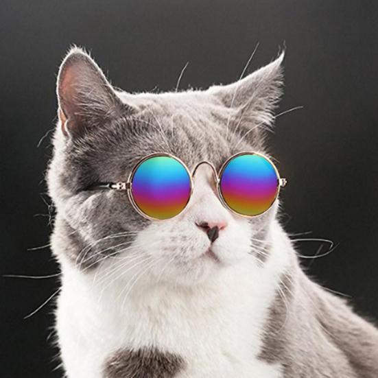 Huisdier Zonnebril Mini Helder AC Mode Kat Zonnebril voor het Maken van Foto's