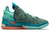 Nike LeBron 18 We Are Family CQ9283-300