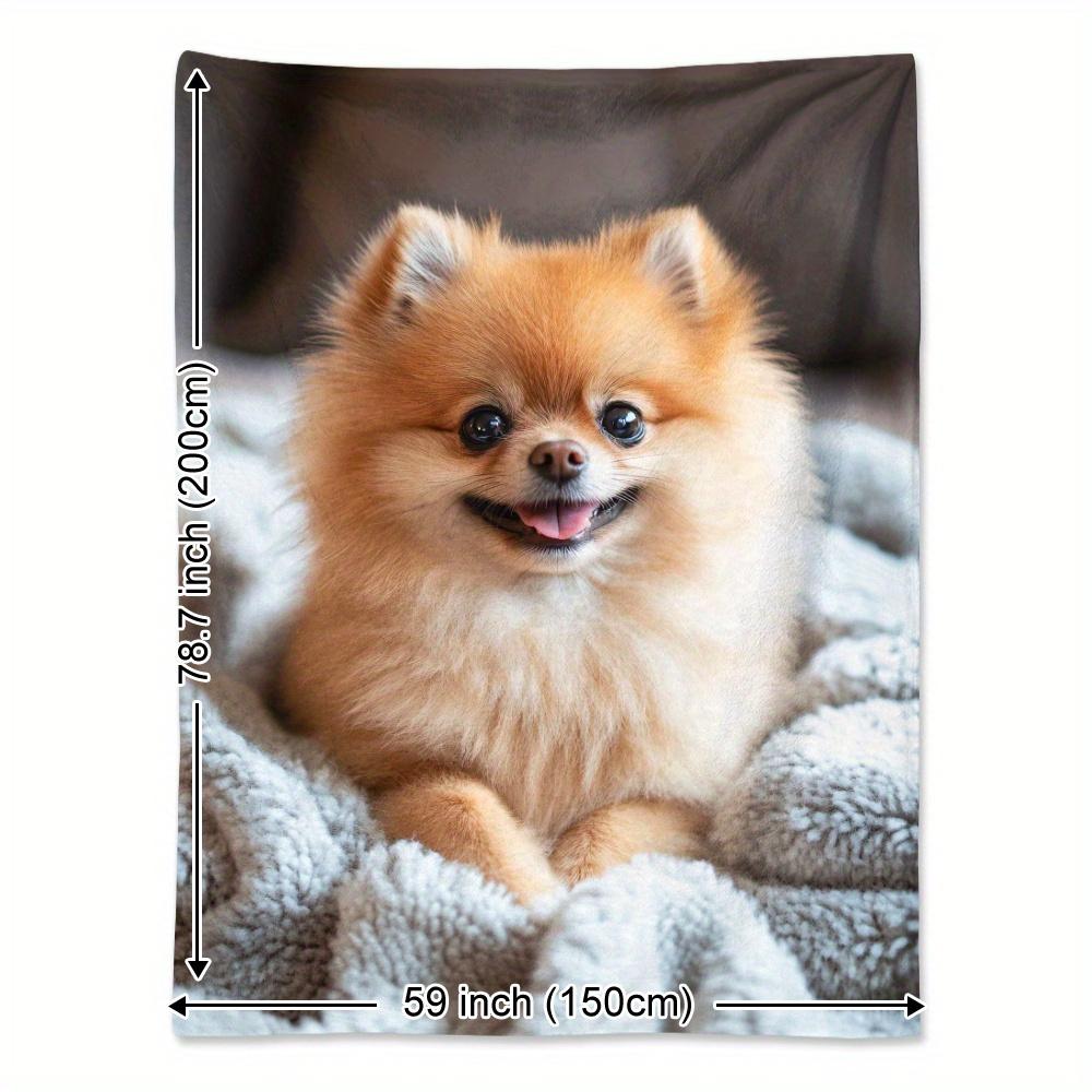 

VIKAMA Cute Pomeranian Soft And Warm Printed Blanket Is Perfect For Naps, Camping, Traveling, And Office Home Decoration 80x120cm(31x47inch)