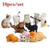 10 Pz Gatto Colorato Creativo Paesaggistico Bambola Miniature Giardino in Miniatura Figurine Decorazioni per la Casa