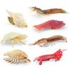 Simulated Marine Creature Model Pippi Shrimp, Snowman Crab, Conch King, Pedal Insect, Submarine Animal Ornament