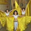 Children's Iridescent Golden Belly Dance Wings – 360° Performance Costume Props