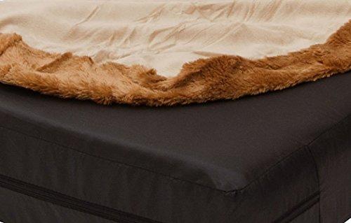 Cellutane Toast Chair, Memory Foam, Washable Cover, Reclining, Made In Japan, DPN1a-14 Tiers - Toast + PN1-92BK