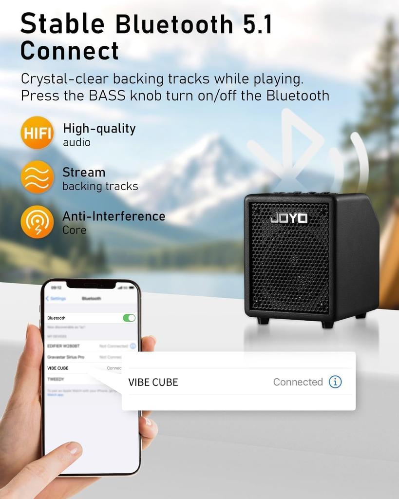 JOYO VIBE CUBE Compact Bass Combo Black BA-30 Amplifier,