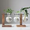 Hydroponic Plant Terrarium Vase Durable Clear Glass Ornament for Home Office Desktop Living Room Decoration