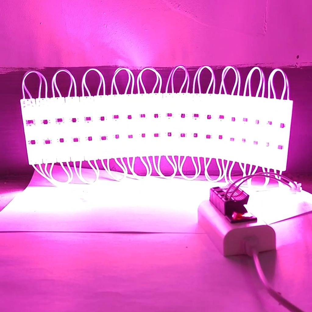 Módulo LED de Alto Brillo 60LEDs 220V Tira de Luz COB Plegable Impermeable Retroiluminación Banner de Tienda Carácter Luminoso Decoración Exterior